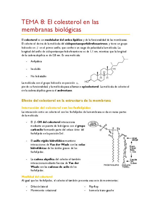 Miniatura del documento TEMA-8.pdf