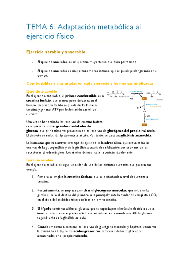 Miniatura del documento TEMA-6.pdf