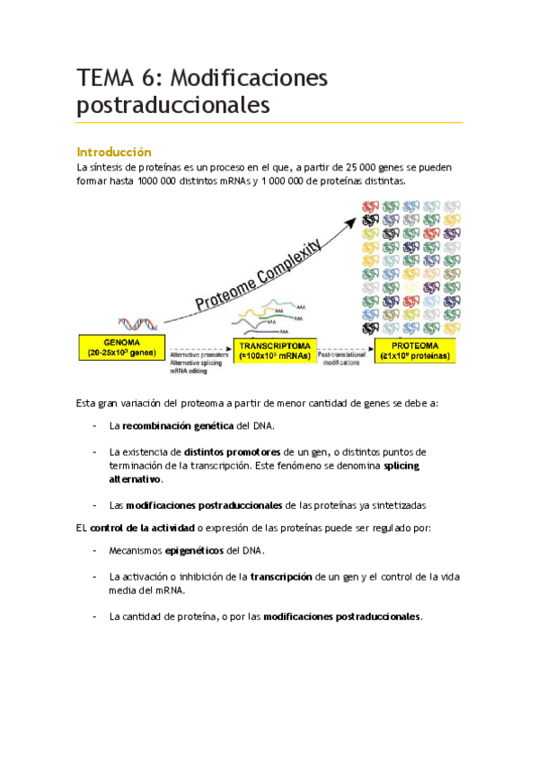 Miniatura del documento TEMA-6.pdf