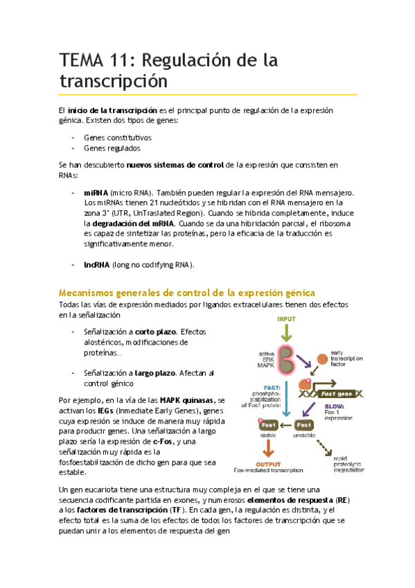 Miniatura del documento TEMA-11.pdf