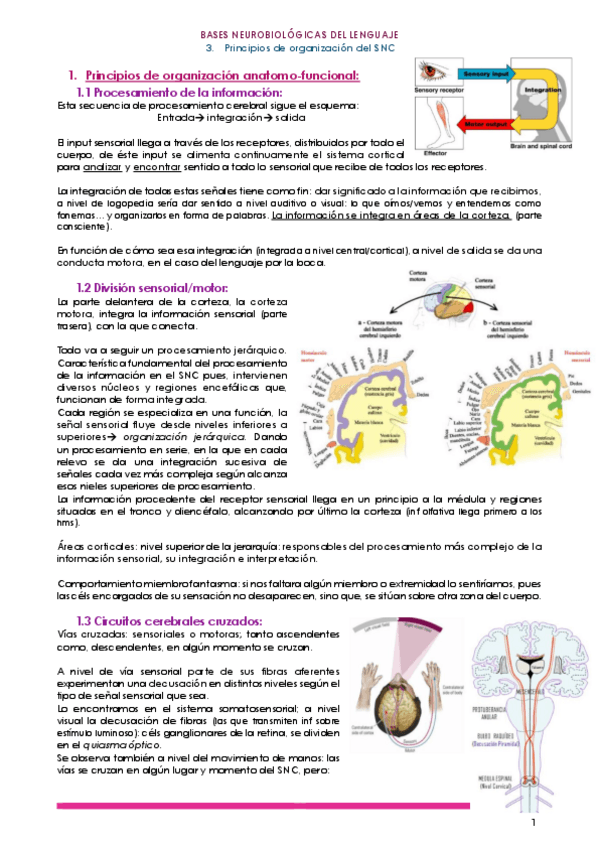 Miniatura del documento 3.pdf