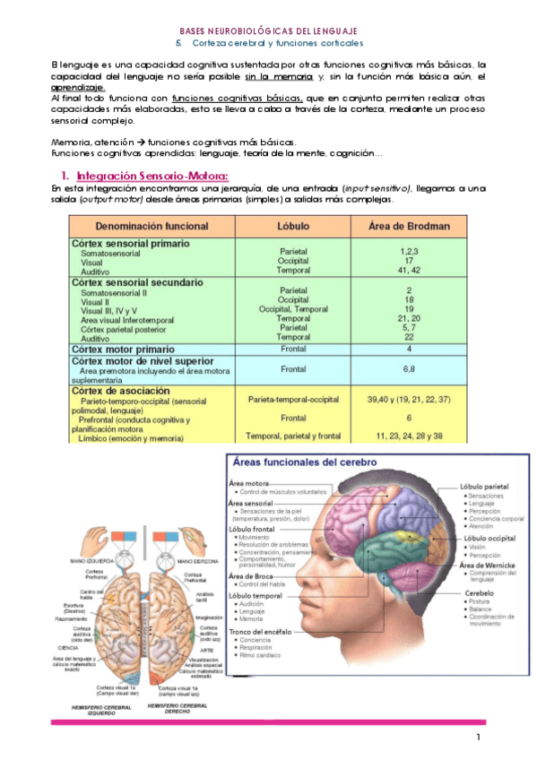 Miniatura del documento 5.pdf