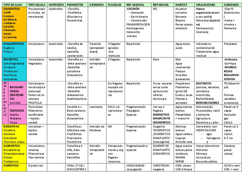 Miniatura del documento CUADRO-COMPARATIVO-ALGAS.pdf