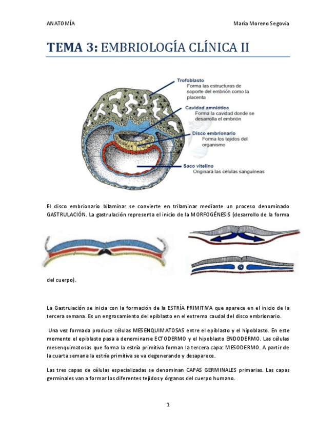 Miniatura del documento TEMA-3.pdf