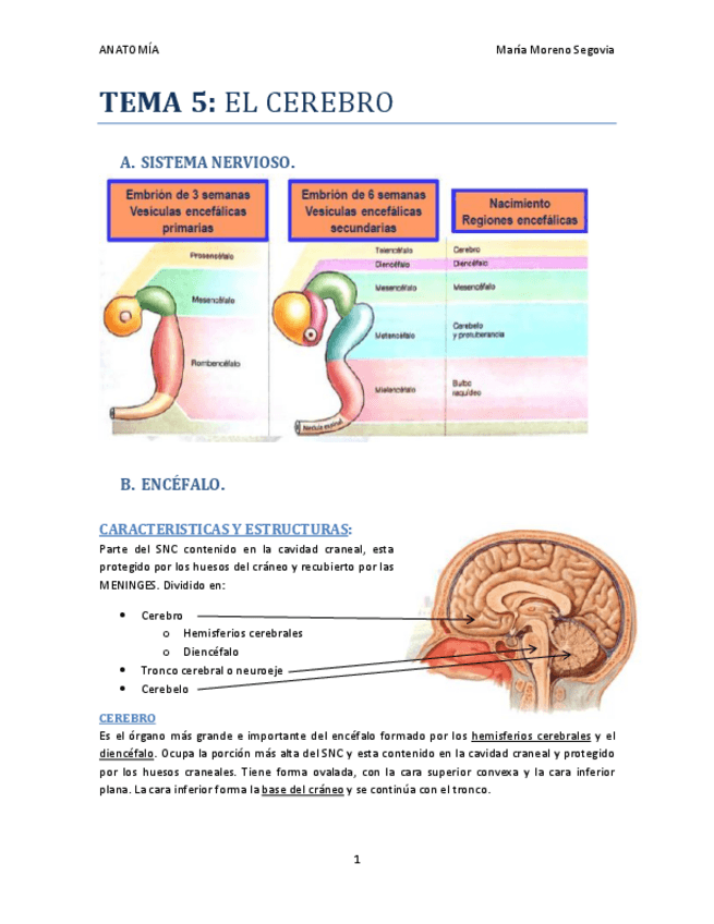 Miniatura del documento TEMA-5.pdf