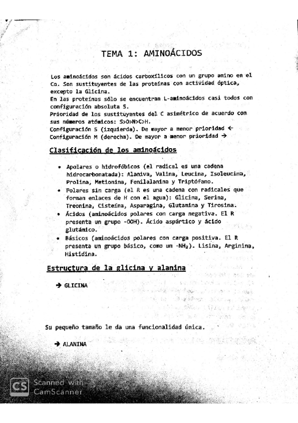 Miniatura del documento TEST-EXAMEN.pdf