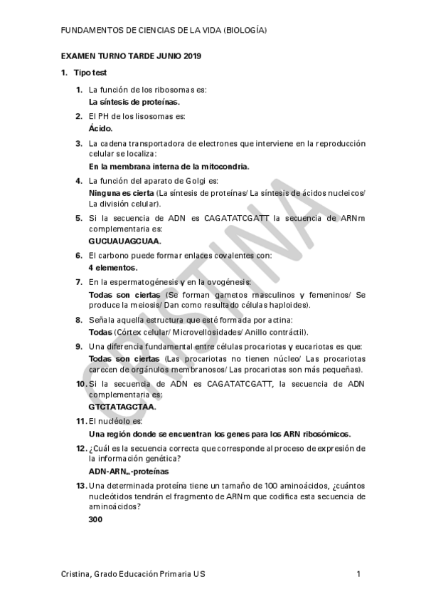 Miniatura del documento EXAMEN-TURNO-TARDE.pdf