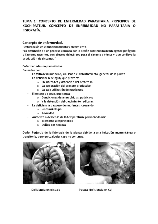 Miniatura del documento TEMA_1.pdf