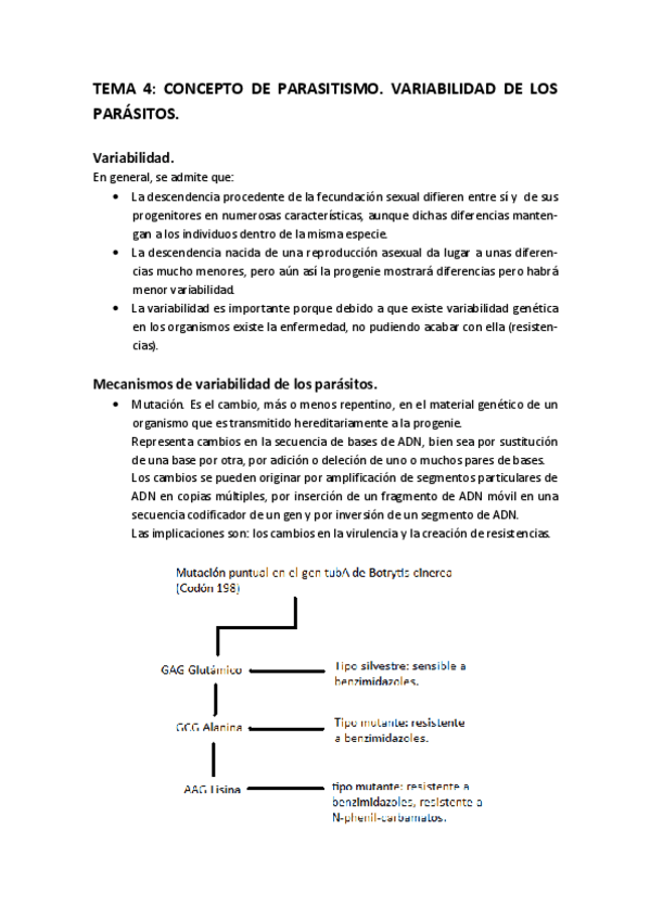 Miniatura del documento TEMA_4.pdf
