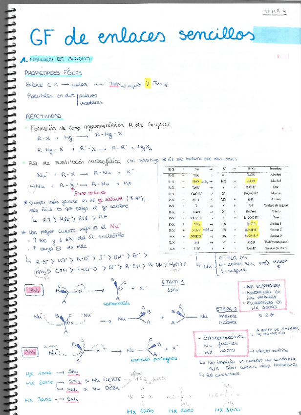 Miniatura del documento Teoria-T4.pdf
