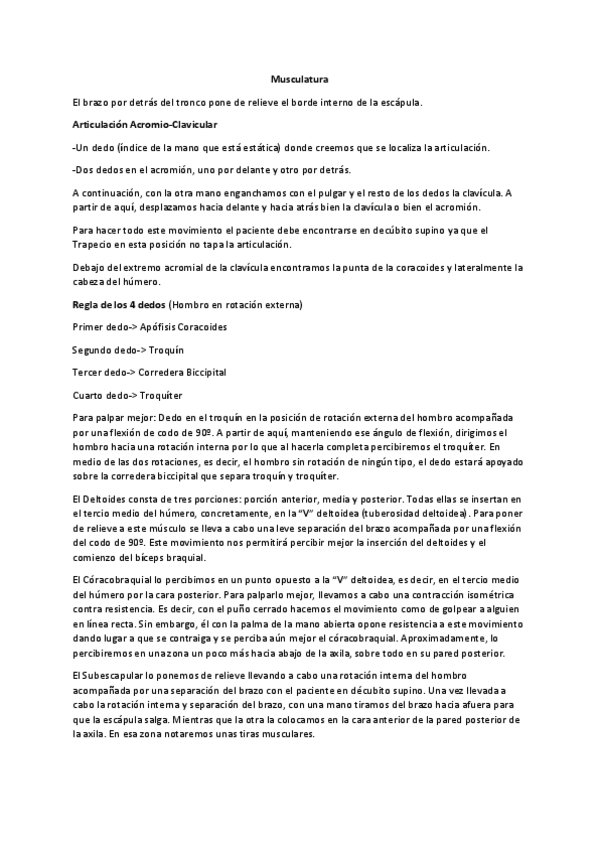 Miniatura del documento Prácticas Fisioterapia General Musculatura de la Espalda.pdf