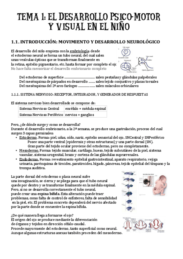 Miniatura del documento TEMA-1-desarrollo-psico-motor.pdf