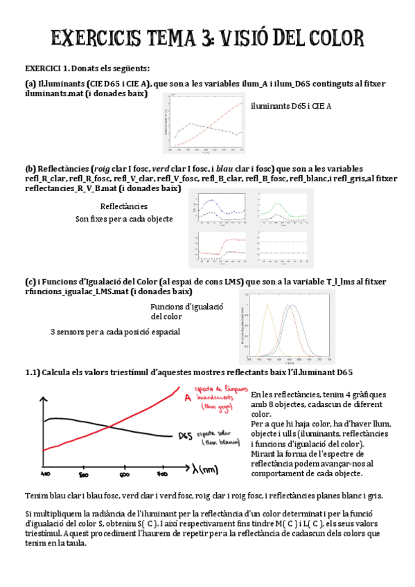 Miniatura del documento EXERCICIS-RESOLTS-Elsa-Estruch.pdf