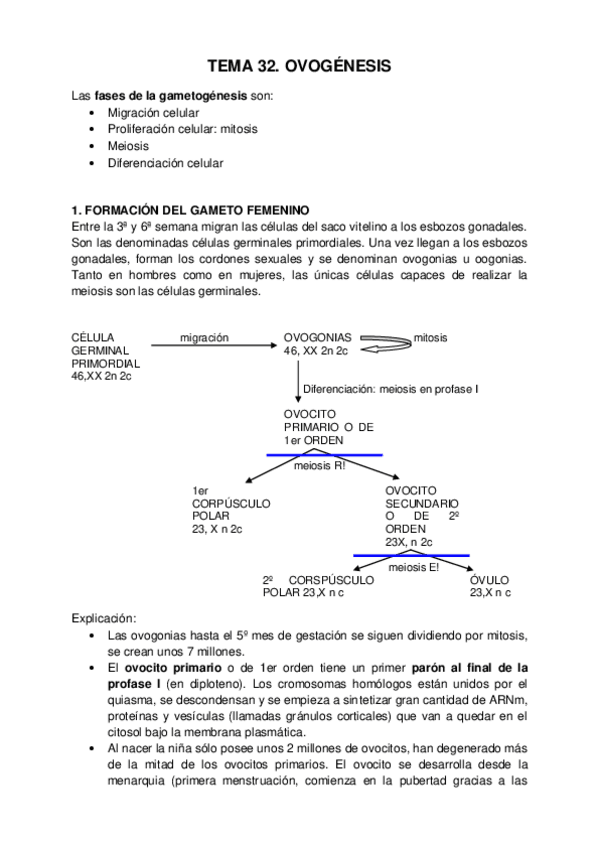 Miniatura del documento EMBRIOOGÍA COMPLETA.pdf
