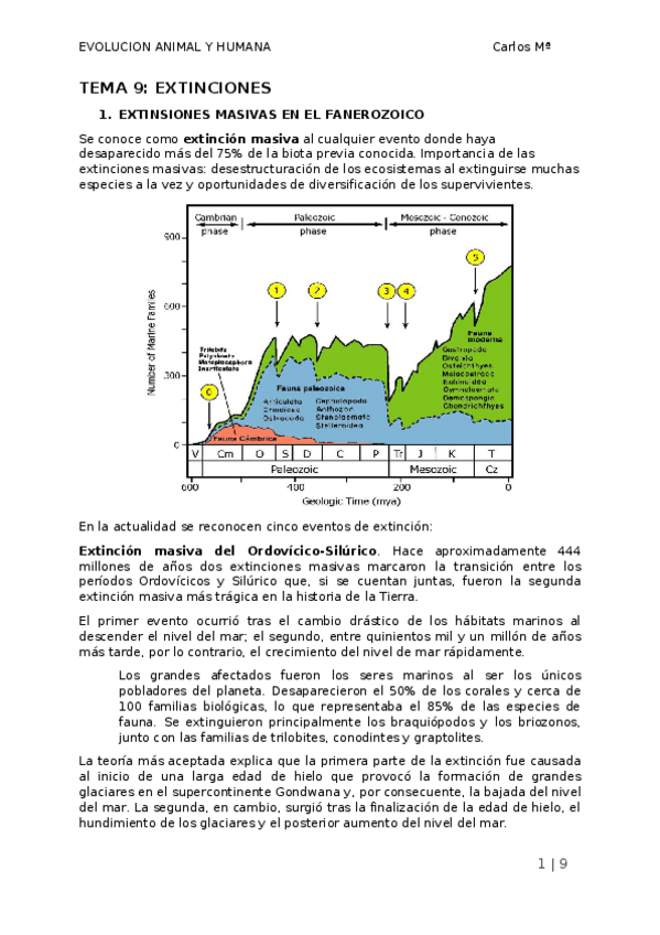 Miniatura del documento TEMA-9.docx