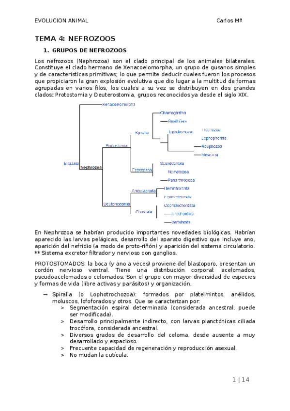 Miniatura del documento TEMA-4.docx