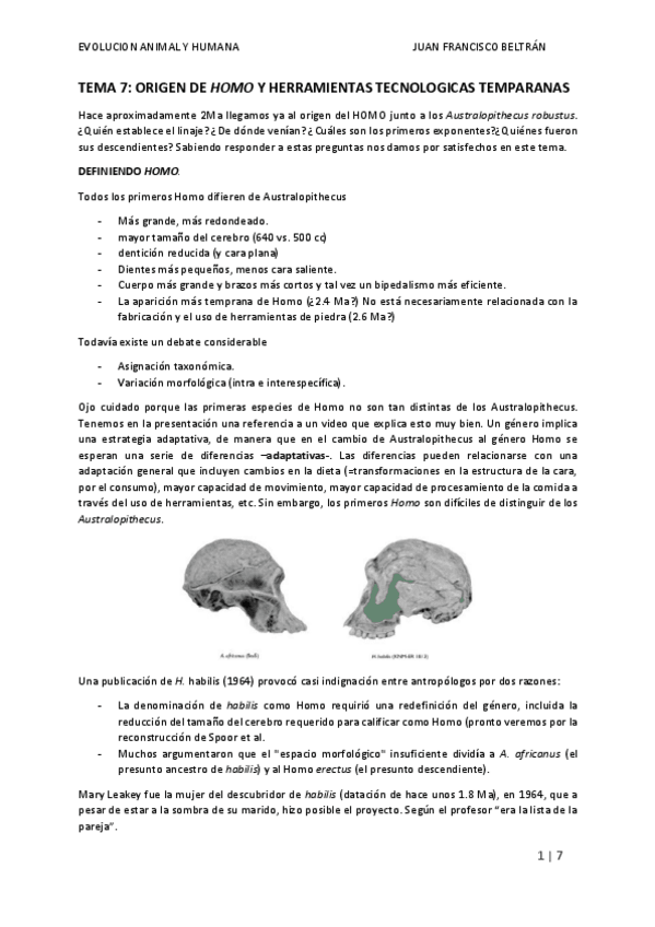 Miniatura del documento TEMA-7.pdf