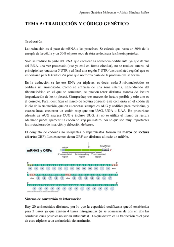 Miniatura del documento TEMA-5-Genetica-molecular.pdf