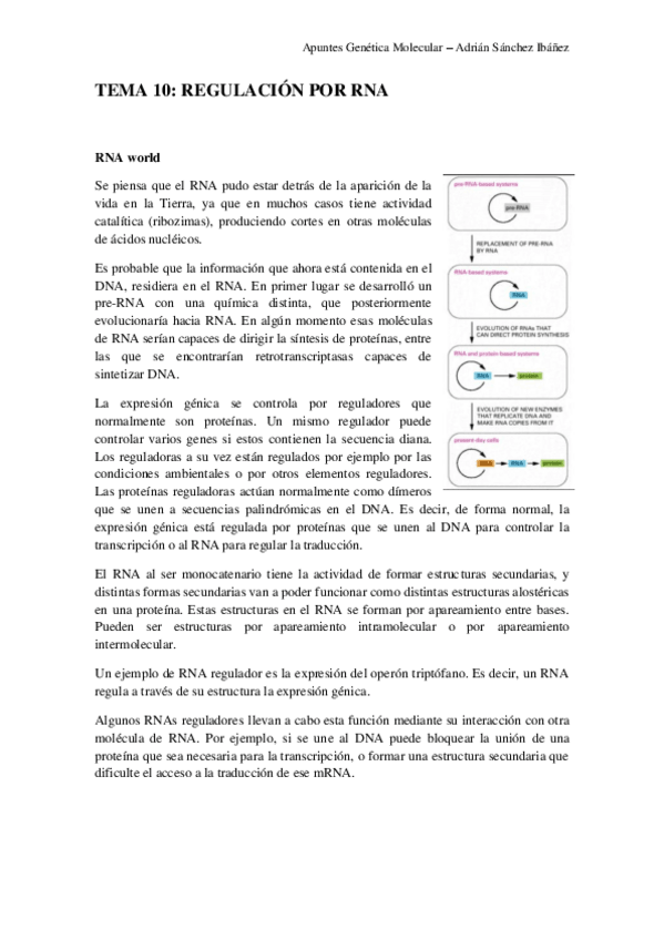 Miniatura del documento TEMA-10-Genetica-molecular.pdf