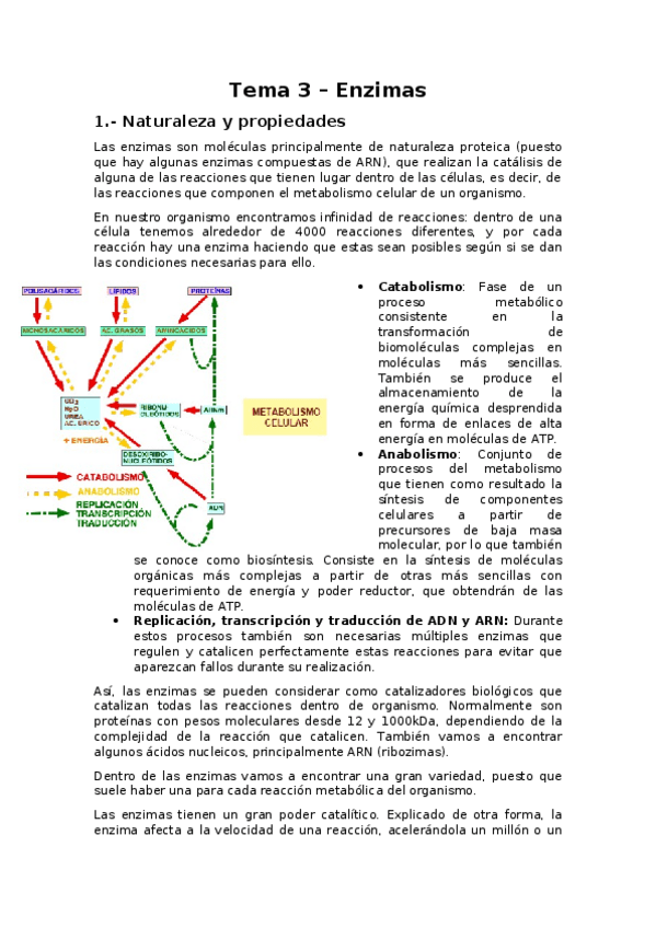 Miniatura del documento Tema-3-Enzimas.docx