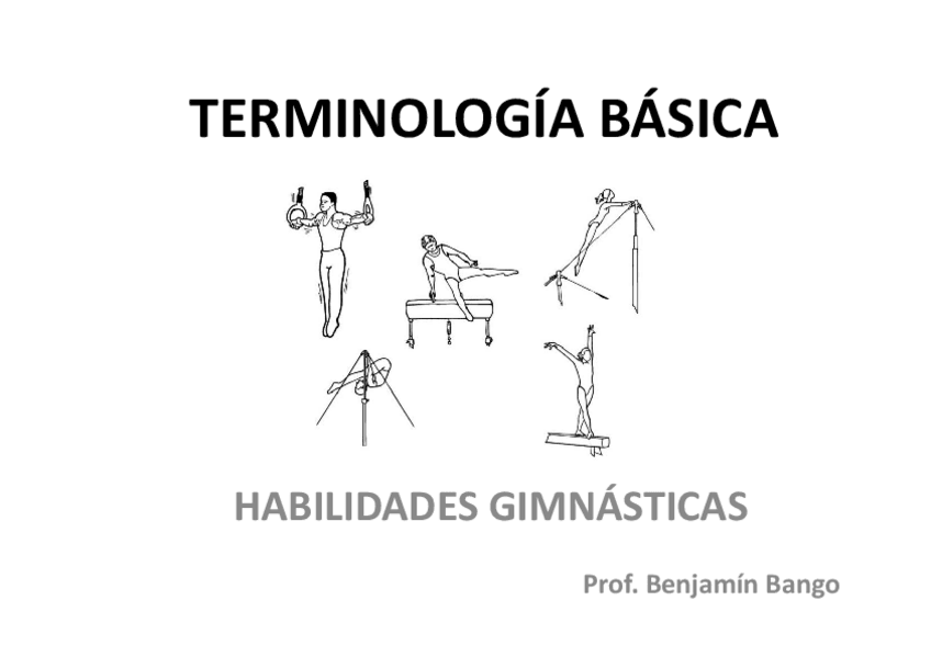 Miniatura del documento TERMINOLOGIA-BASICA.pdf