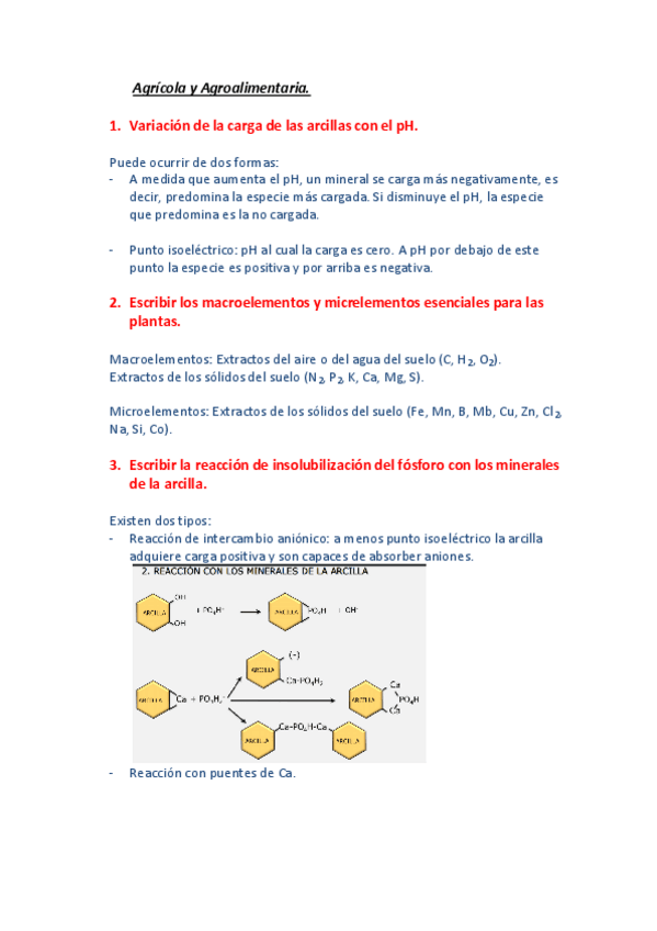 Miniatura del documento Preguntas-de-examen-resueltas.pdf