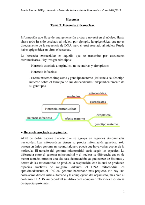 Miniatura del documento Tema-7.pdf