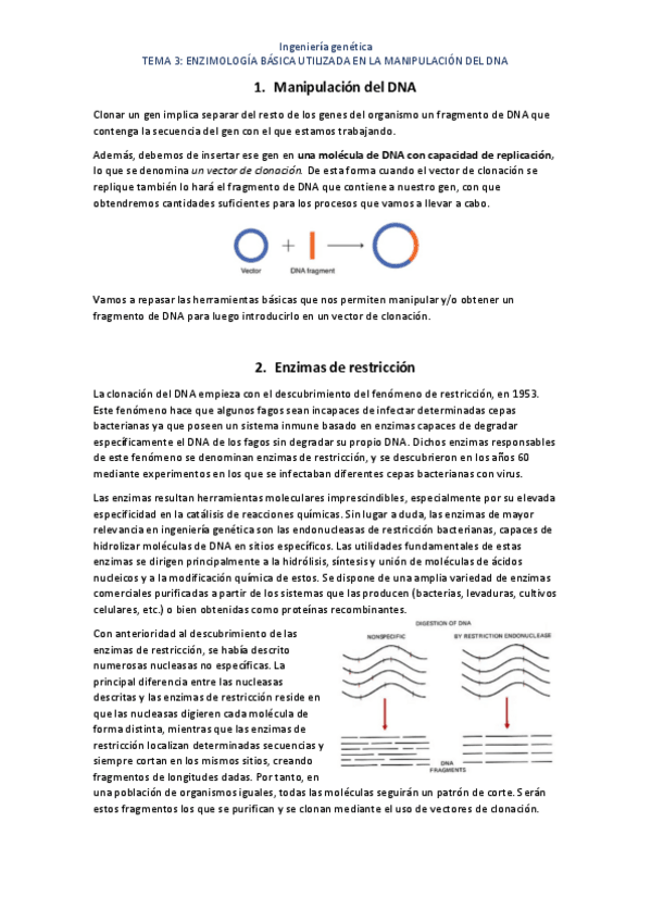 Miniatura del documento TEMA-3.pdf