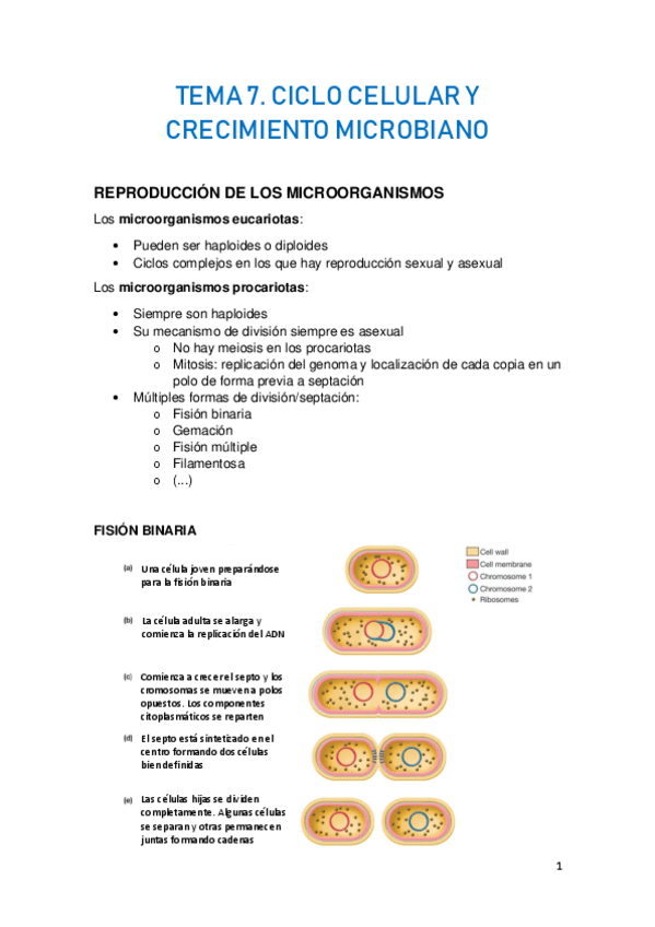 Miniatura del documento TEMA-7.pdf