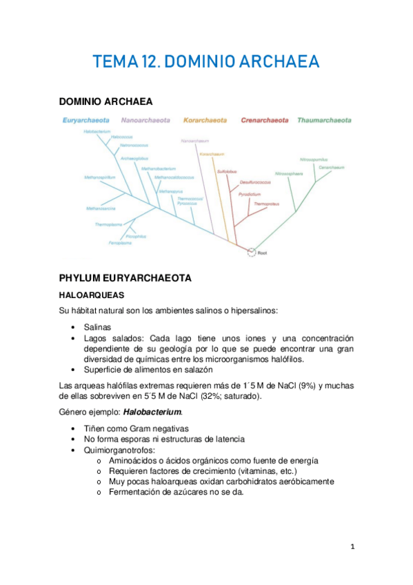 Miniatura del documento TEMA-12.pdf
