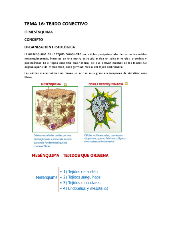 Miniatura del documento TEMA-16-APUNTES.pdf