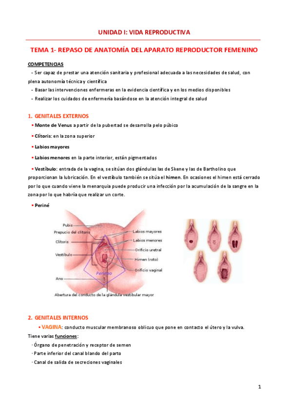 Miniatura del documento TEMA-1-repaso-de-anatomia-del-aparato-reproductor-femenino.pdf