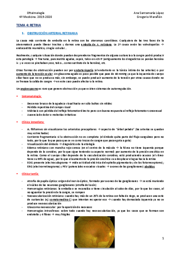 Miniatura del documento Tema-4-Retina.pdf