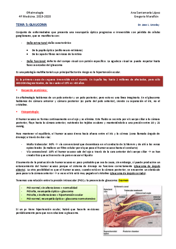 Miniatura del documento Tema-5-Glaucoma.pdf