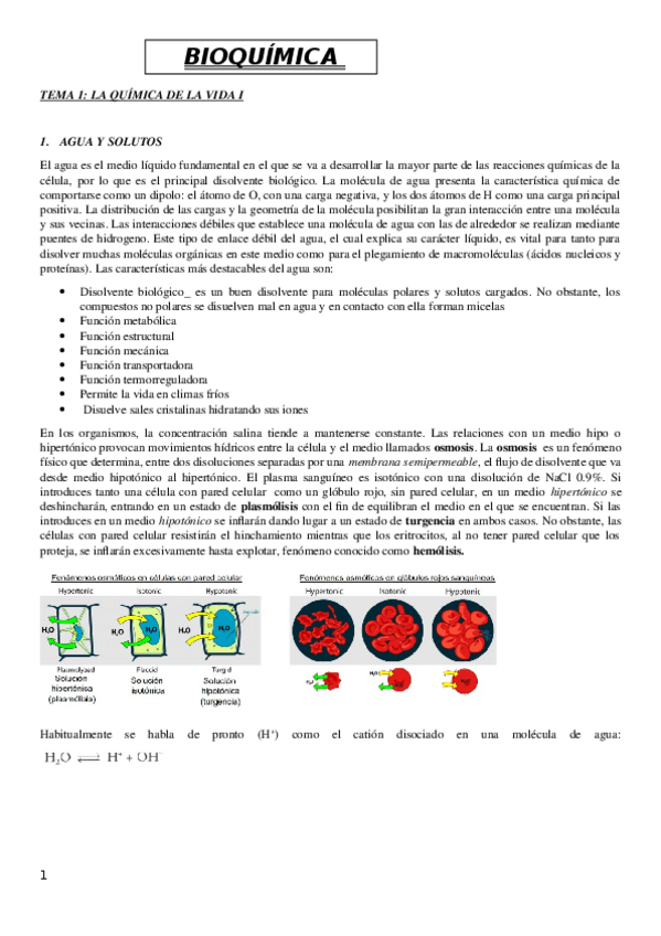 Miniatura del documento Apuntes-bioquimica.docx