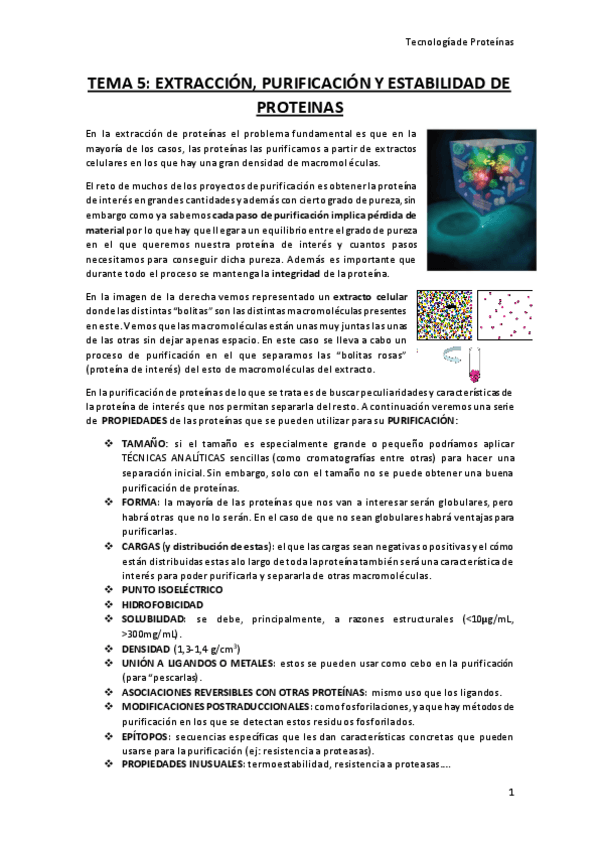 Miniatura del documento TEMA-5.pdf