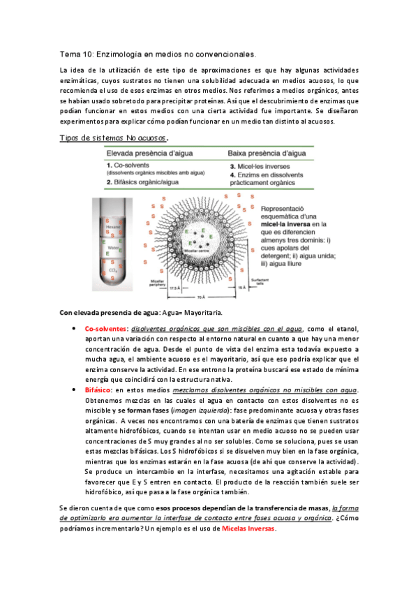 Miniatura del documento Tema-10-Proteinas-Samu.pdf