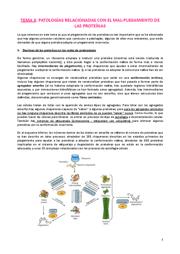 Miniatura del documento Tema-3-Tecnologia-de-proteinas.pdf