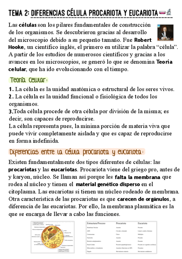 Miniatura del documento TEMA-2.pdf