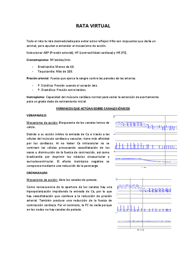 Miniatura del documento RATA-VIRTUAL.pdf