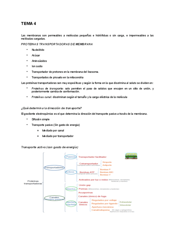 Miniatura del documento Tema-4-bio.pdf