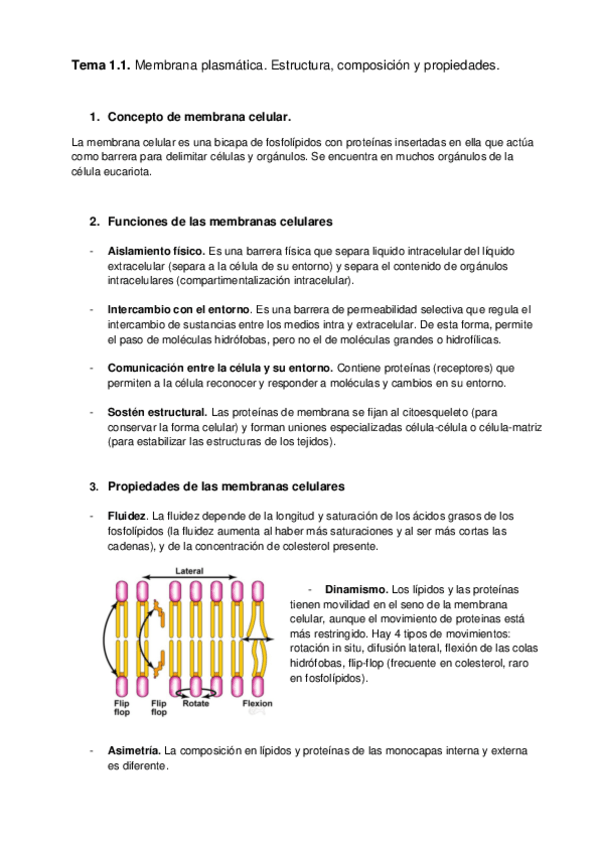 Miniatura del documento Tema-1.pdf