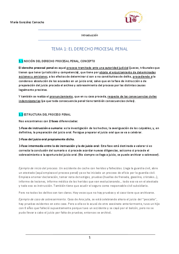 Miniatura del documento Tema-1-derecho-procesal-penal.pdf