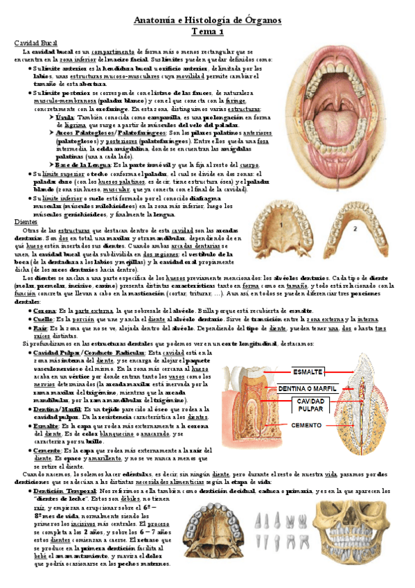 Miniatura del documento Tema-1.pdf