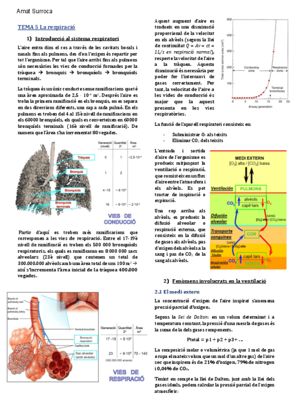 Miniatura del documento TEMA-5-BF-Respiracio.pdf