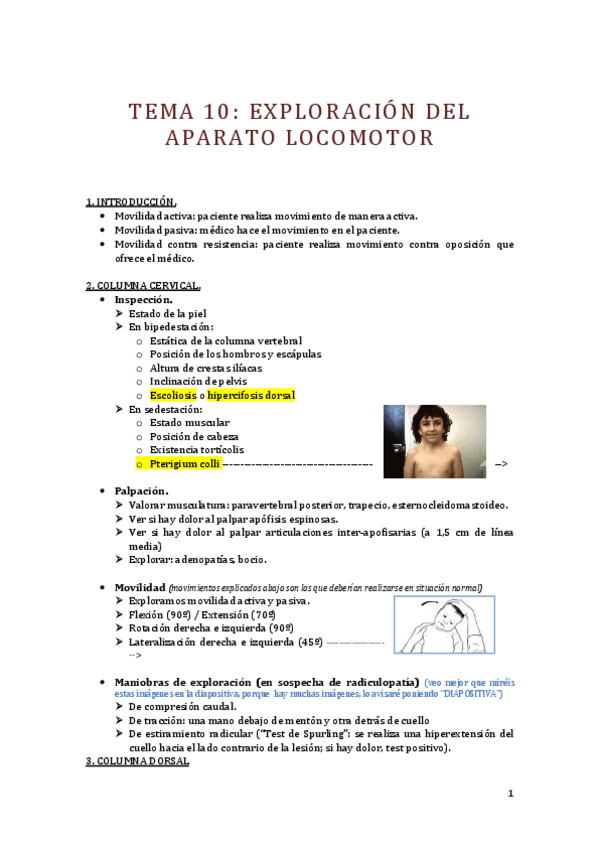 Miniatura del documento (AP) Tema 10. Exploración del aparato locomotor..pdf