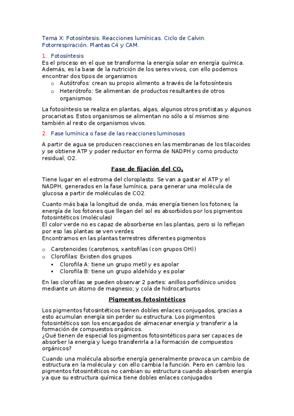 Miniatura del documento Tema-X.docx