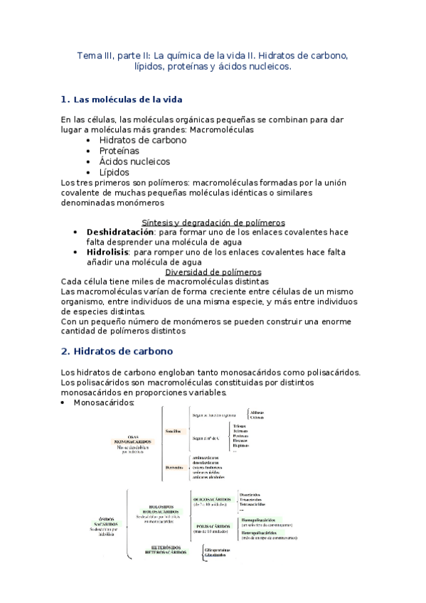 Miniatura del documento Tema-III.docx