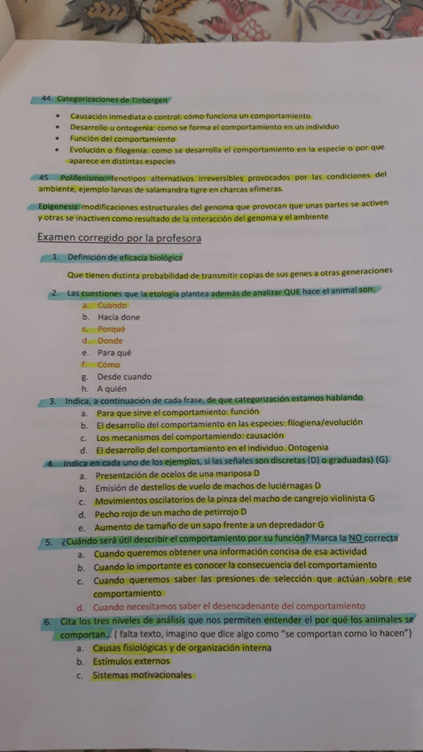 Miniatura del documento WhatsApp-Image-2018-09-26-at-15.jpg