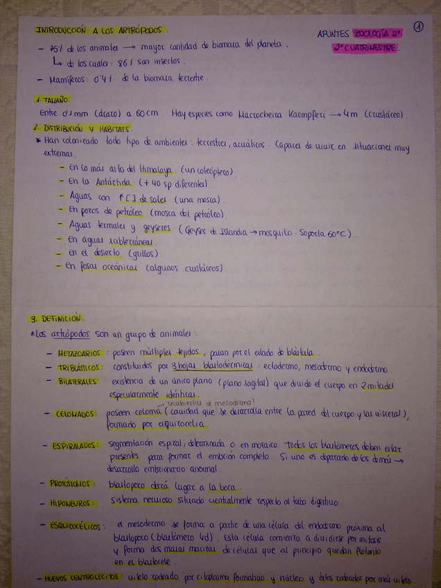 Miniatura del documento 050920123560.jpg